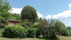 Parc arboré du Gîte de la Viguerie